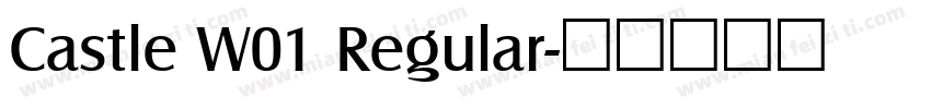 Castle W01 Regular字体转换